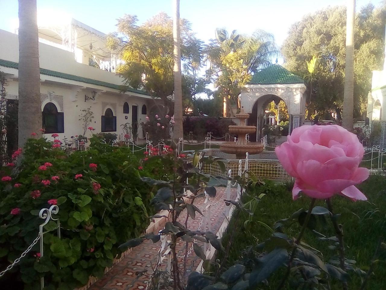 Hotel Riad L' Arganier D' Or Aït el Rhazi エクステリア 写真