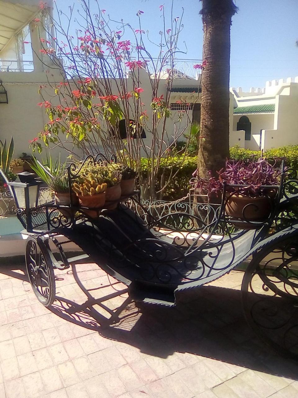 Hotel Riad L' Arganier D' Or Aït el Rhazi エクステリア 写真